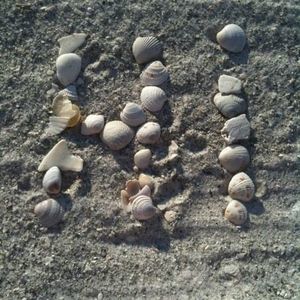 Meet your Posher, Chantelle